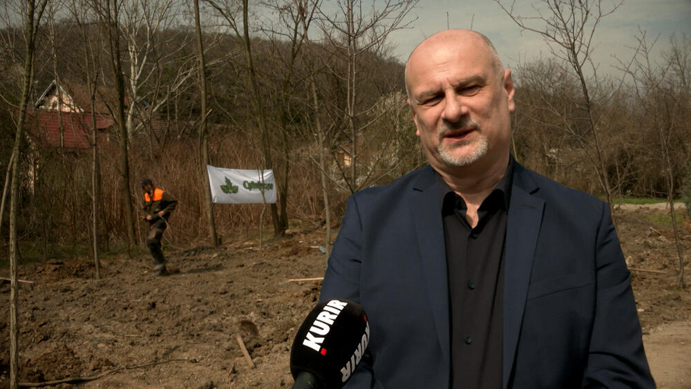 Svetski dan šuma, Igor Braunović, Sara Pavkov, Branko Stajić