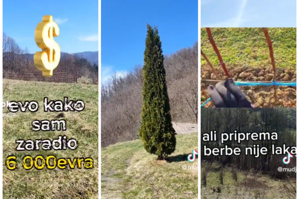 PROŠLE GODINE SAM ZA MESEC DANA ZARADIO 6.000 EVRA, I OVE ĆU! Dečko nije hteo da proda staro imanje, POSADIO OVU VOĆKU! (VIDEO)