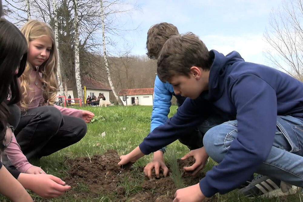 NOVE GENERACIJE ĆE ZNATI DA SU ŠUME PLUĆA SRBIJE! Uspešno sprovedena akcija "Gledaj kako rastemo" u sklopu projekta "Zasadi drvo"