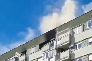 VELIKI POŽAR U STEPE STEPANOVIĆA: Vatrena stihija GUTA STAN, kulja gust dim, čitava ulica BLOKIRANA (VIDEO)