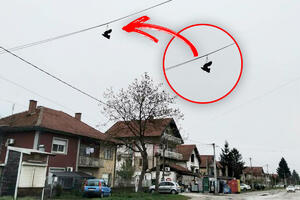 MISTERIJA OD USKRSA TRESE LESKOVAC: Nešto novo visi sa žice nasred ulice! Ove teorije kruže - ko je i ZAŠTO TO TU OKAČIO?! (FOTO)