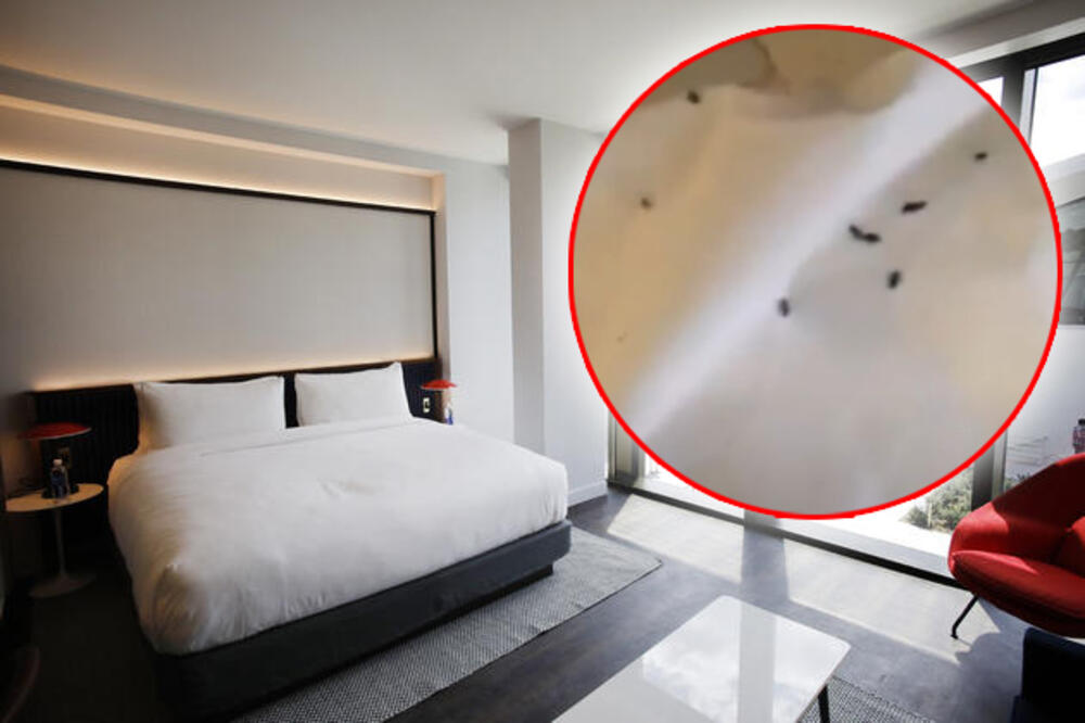 UPALILI SVETLO U HOTELSKOJ SOBI U 3 NOĆU I ZATEKLI JEZIVU SCENU: Mislili da ih ujeda komarac, ali po njima puzao ŽIVI UŽAS (VIDEO)