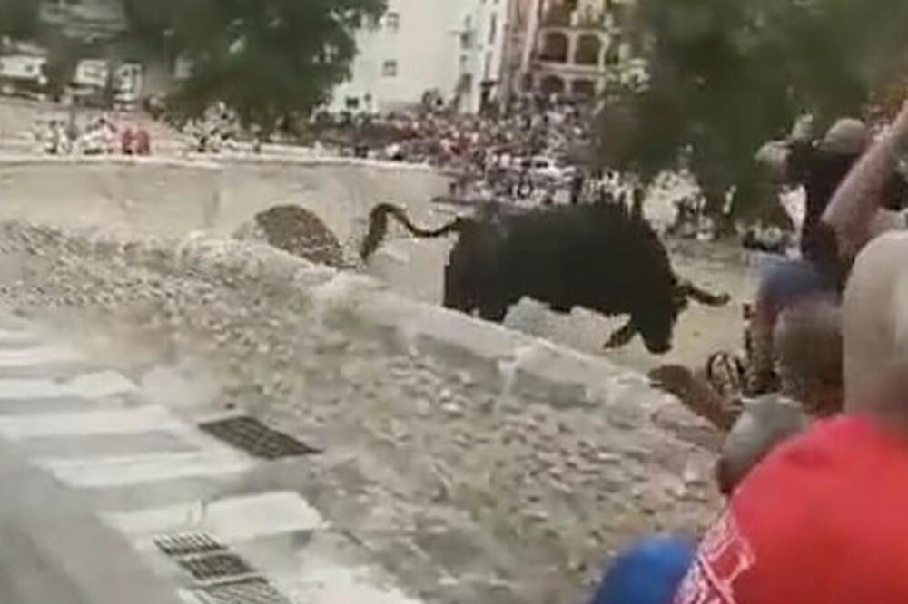 HOROR NA ŠPANSKOM FESTIVALU: Bik preskočio zid i pao u provaliju od 15 metara, publika u šoku vrištala (VIDEO, FOTO)