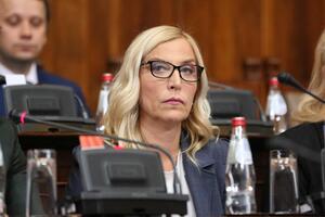 MINISTARKA REAGOVALA NA IZJAVE MARINIKE TEPIĆ: Maja Popović: Pojedini opozicioni političari pokušavaju da dezinformišu javnost!