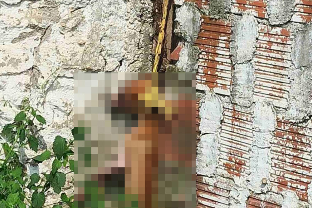 HOROR PRIZOR KOD LESKOVCA: Dečak (14) ubio i obesio uličnog psa, pa u policiji PRIZNAO GNUSNU STVAR (FOTO)