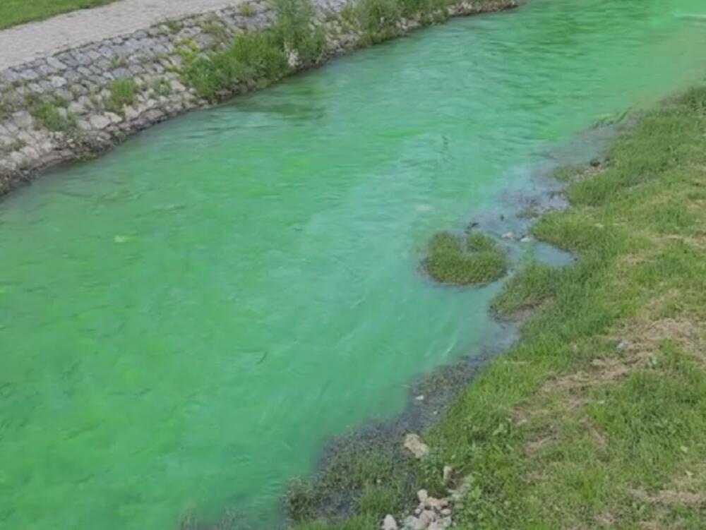 Đetinja, Užice, zelena boja u reci