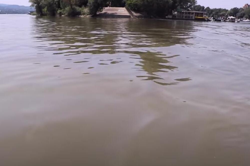 MRLJA NA DUNAVU! Nepoznata zagađujuća materija izlila se iz bugarskog broda, službe rade na sanaciji (VIDEO)