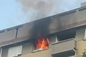 GORI STAN U VOJVODE STEPE! Veliki požar, dim kulja, 19 vatrogasaca se bori sa vatrenom stihijom (VIDEO)
