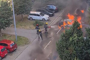 AUTOMOBIL GORI KAO ŠIBICA USRED NOVOG SADA: Plamen guta parkirano vozilo, CRNI DIM KULJA na sve strane! Vatrogasci na terenu VIDEO