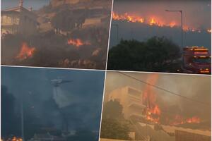DRAMATIČNI PRIZORI IZ GRČKE Buktinja guta sve pred sobom, izgorelo na 1.000 hektara šume, POVREĐENO više vatrogasaca (FOTO, VIDEO)
