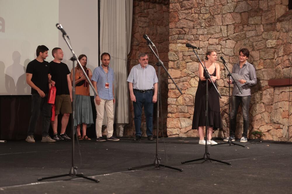 Festival evropskog Filma Palić, nagrada Asocijacije filmskih festivala Srbije