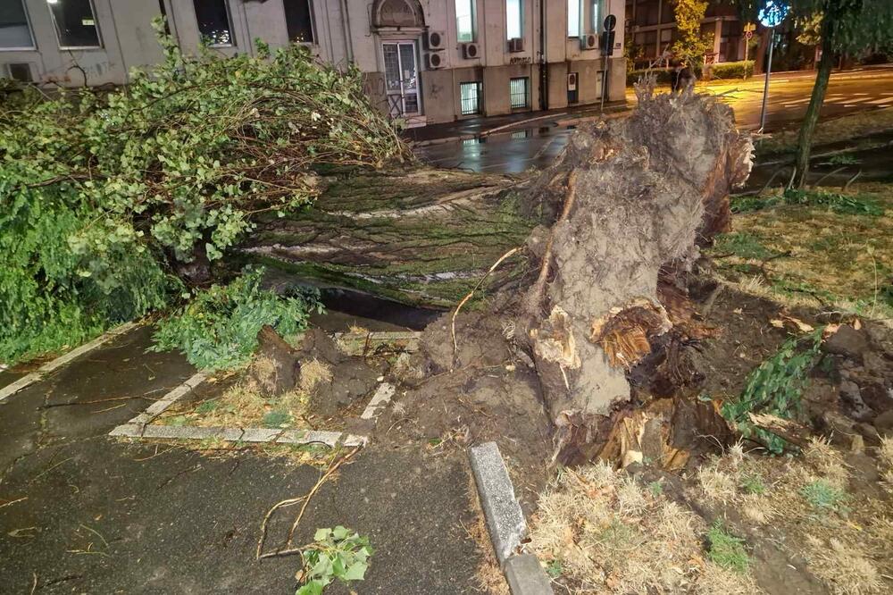 PROGLAŠENA VANREDNA SITUACIJA I U NOVOM SADU: Razmere nastale štete zbog oluje su ogromne, doneta HITNA ODLUKA