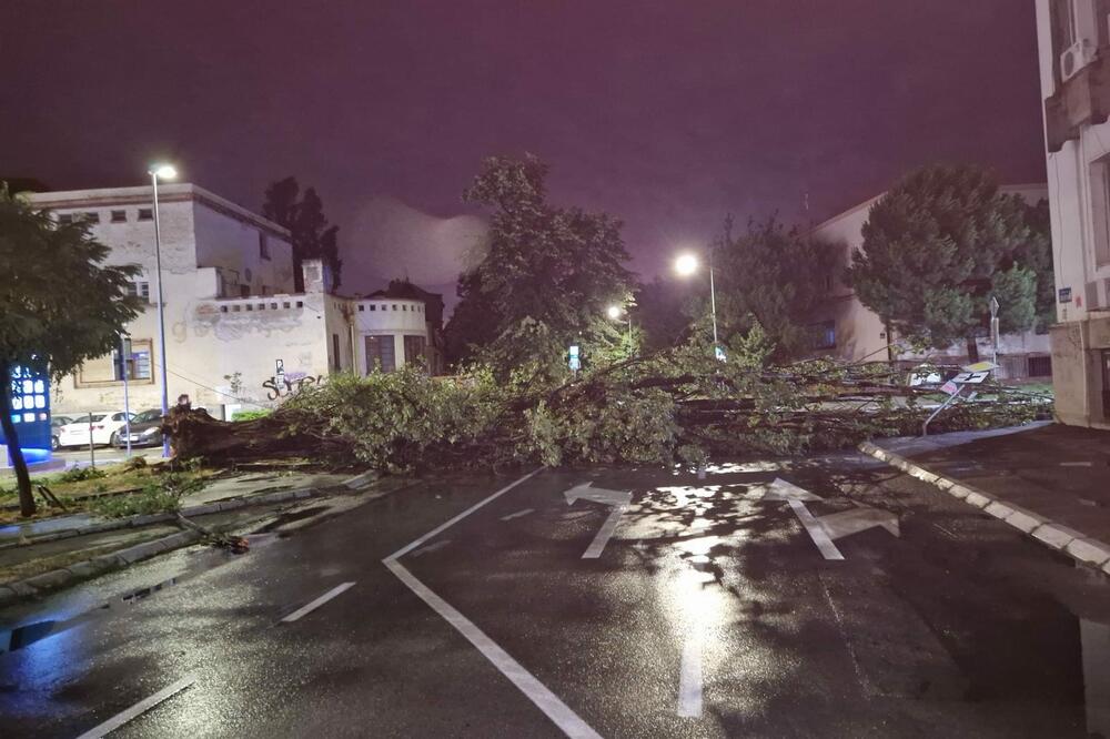 DRVO PALO NA DEVOJČICU (12) U NOVOM SADU: Oluja izazvala ozbiljnu štetu u više gradova u Srbiji, VETAR NOSIO DRVEĆE I KONTEJNERE