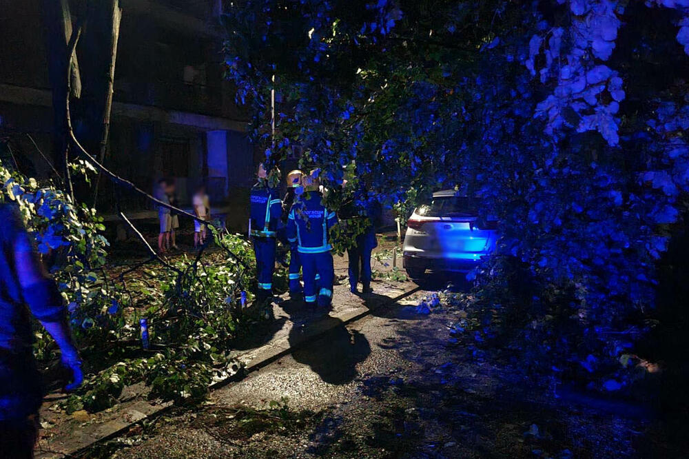 POD STALNIM JE NADZOROM LEKARA: Evo u kakvom je stanju devojčica (15) na koju je palo drvo u Novom Sadu