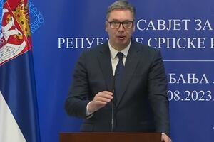 "TRPIM NESNOSNE BOLOVE": Predsednik Srbije na konferenciji rekao da se ne oseća dobro pa kazao i šta ga muči
