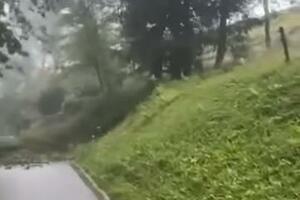 STRAŠAN PRIZOR TOKOM NEVREMENA U SLOVENIJI: Drveće se obrušilo na put, vozač se spasao u poslednjem momentu! (VIDEO)