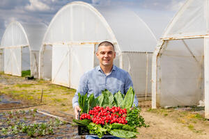 Poljoprivrednik Aleksandar Ljubojević iz Grabovca godišnje proizvede više od sto tona povrća