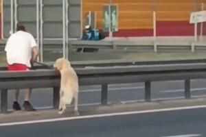 "GOSPODE BOŽE" Sa psom u rukama prelazi auto-put kod Mostarske petlje, kola samo šibaju! Svi se čude, a ona je odmah posumnjala