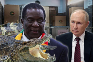 NAPETO GLASANJE: Na današnjim izborima u Zimbabveu favorit je "KROKODIL", od Putina dobio na poklon helikopter (FOTO, VIDEO)