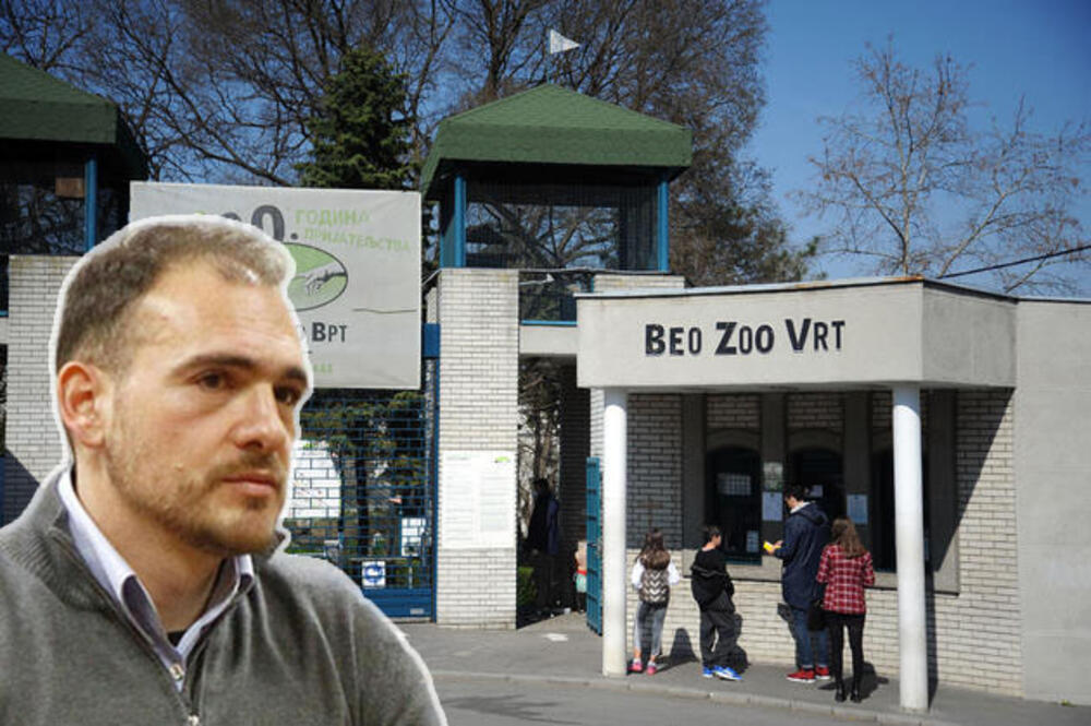 zoo vrt, Luka Bojović