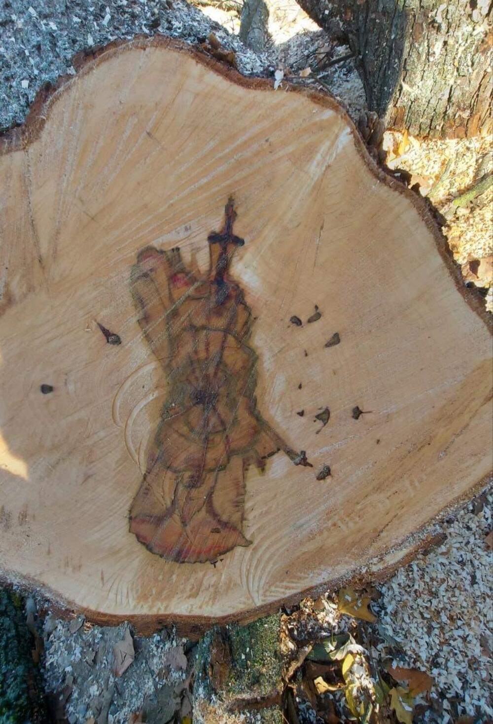 Stablo, božiji znak, Goričani, Dragoljub Nikolić