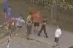 PAS IZUJEDAO DEČAKA (11) NA KARABURMI: Snimljen horor u dvorištu škole, a ono što su VLASNICE POTOM URADILE razbesnelo sve (VIDEO)