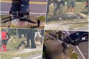 ALIGATOR RASKOMADAO ČOVEKA: Prolaznik zatekao jezivu scenu u parku na Floridi, morali da PUCAJU U NEMAN da oslobode telo (VIDEO)