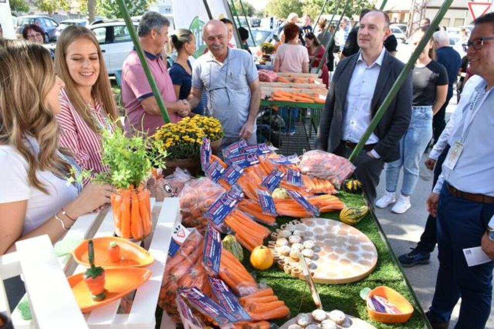 ODRŽANA DRUGA ŠARGAREPIJADA U BEGEČU Gradonačelnik Đurić: Drago mi je da praznik šargarepe postaje tradicija