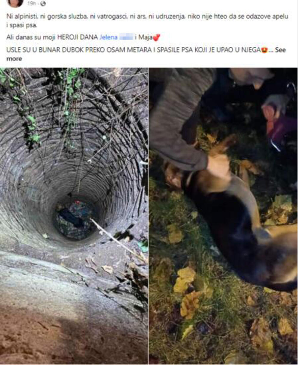 pas, bunar, spasavanje psa