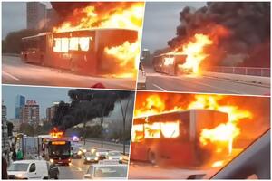 STRAŠNI SNIMCI SA BRANKOVOG MOSTA: Vatra progutala autobus za 3 minuta! Crni dim se video iz svih delova grada