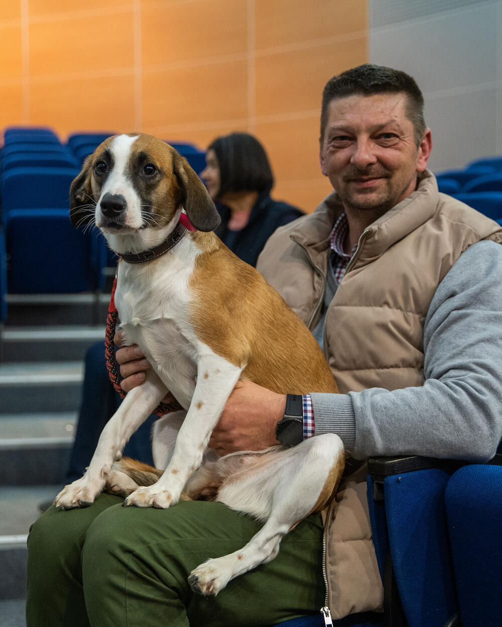 Animal Rescue Serbia, Animal Rescue