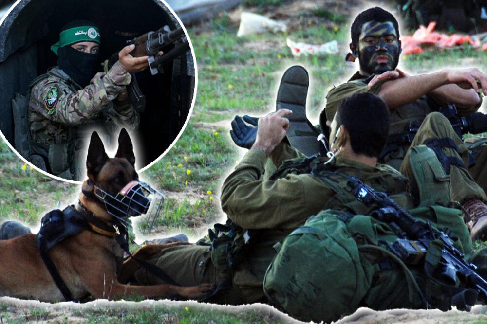 KREĆE BITKA SVIH BITAKA! Posle upada u bolnicu, izraelski komandosi "LASICE" sa psima silaze u tunele da LOVE HAMAS (FOTO, VIDEO)