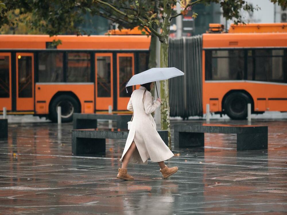 kiša, jesen, kišobran, devojka sa kišobranom