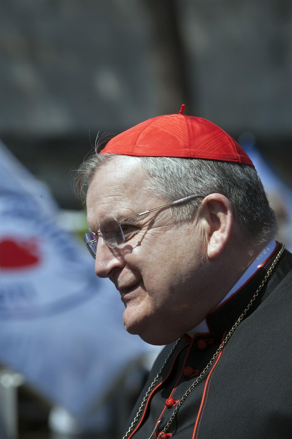 Rejmond Burk, kardinal
