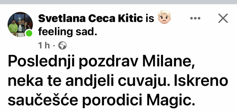 Svetlana Ceca Kitić