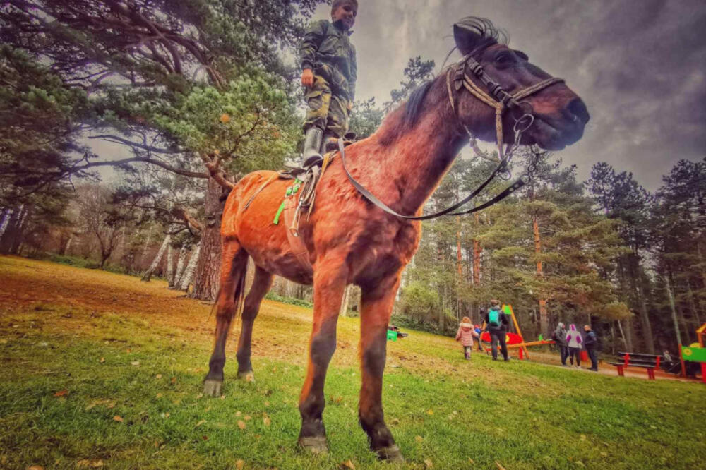 SVI OSTANU U ČUDU KAD IH VIDE ZAJEDNO: Milošu (6) iz Arilja najbolji prijatelj je konj Čarli, sa njim je išao i u vrtić (FOTO)