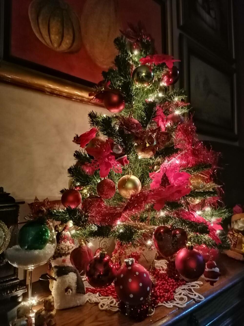 Vranje, pismo Deda Mrazu, novogodišnja jelka, jelka, novogodišnji ukrasi, okićena jelka