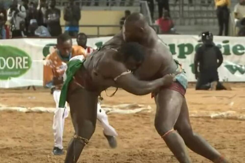DVA DIVA - JEDAN PROTIV DRUGOG! Ljudi u Senegalu ovaj sport OBOŽAVAJU - takmičari imaju preko 150 kilograma, sve PUCA od snage!