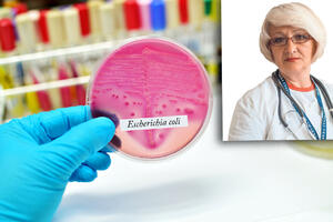 LEČENJE INFEKCIJE EŠERIHIJOM KOLI NIJE JEDNOSTAVNO: Bakterija može da mutira i postane otporna na lekove