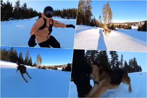 ŠOK SNIMAK SA KOPANIKA! Čopor pomahnitalih pasa napao skijaša: JEDAN GA UGRIZAO ZA NOGU (VIDEO)