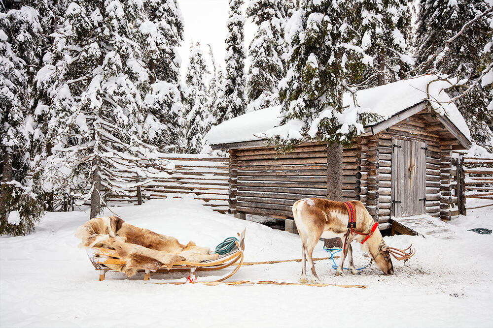 Laponija, Finska, Deda Mraz, selo Deda Mraza
