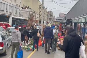 PRAZNIČNA EUFORIJA NA KALENIĆ PIJACI: Veliki broj građana došao da kupi badnjak, ulični svirač doprineo atmosferi (VIDEO, FOTO)