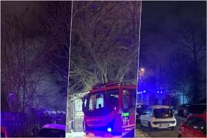 IZBIO POŽAR NA VRAČARU: Pikavci zapalili kontejner, intervenisali vatrogasci (FOTO)