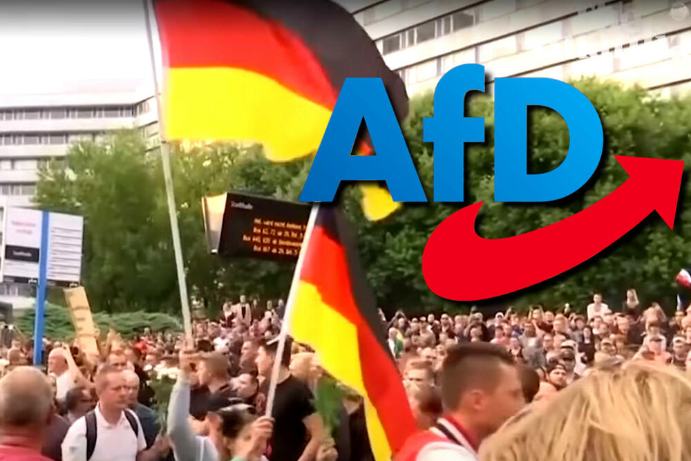 AfD, Германија, Алтернатива за Германија