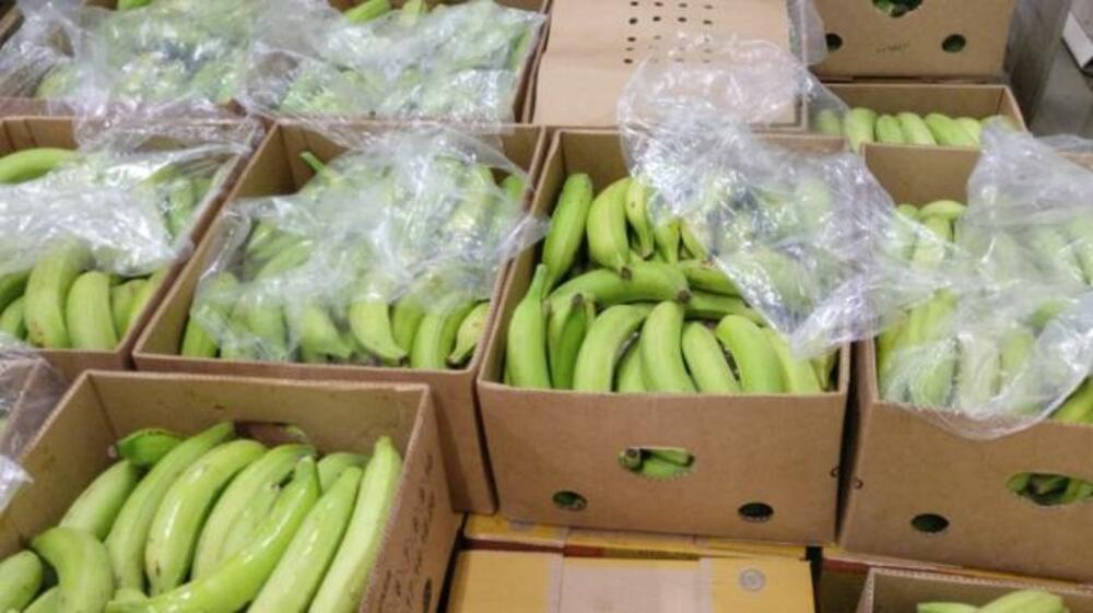 nađena droga u paketima sa bananama
