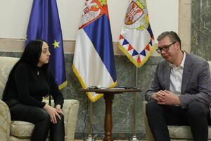 NOVI CUNAMI BEZUMLJA: Hrabru Maricu linčuju u bolu samo zato što je razgovarala s Vučićem! "I ja bih joj SKOČIO NA STOMAK?!"
