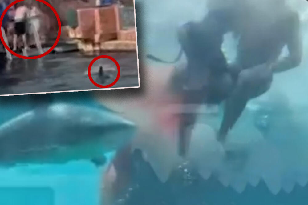 KRV SE ŠIRI VODOM DOK AJKULE PLIVAJU OKO RANJENOG DETETA (10): Stravičan snimak sa Bahama, otac skočio da spase sina (VIDEO)