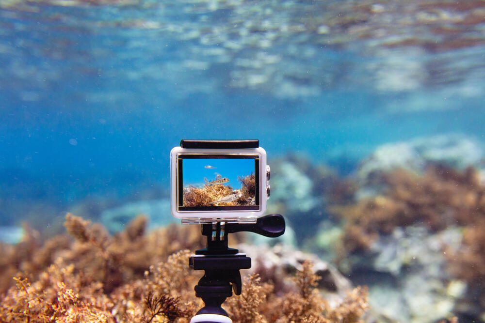 podvodna kamera, Kamera, foto oprema
