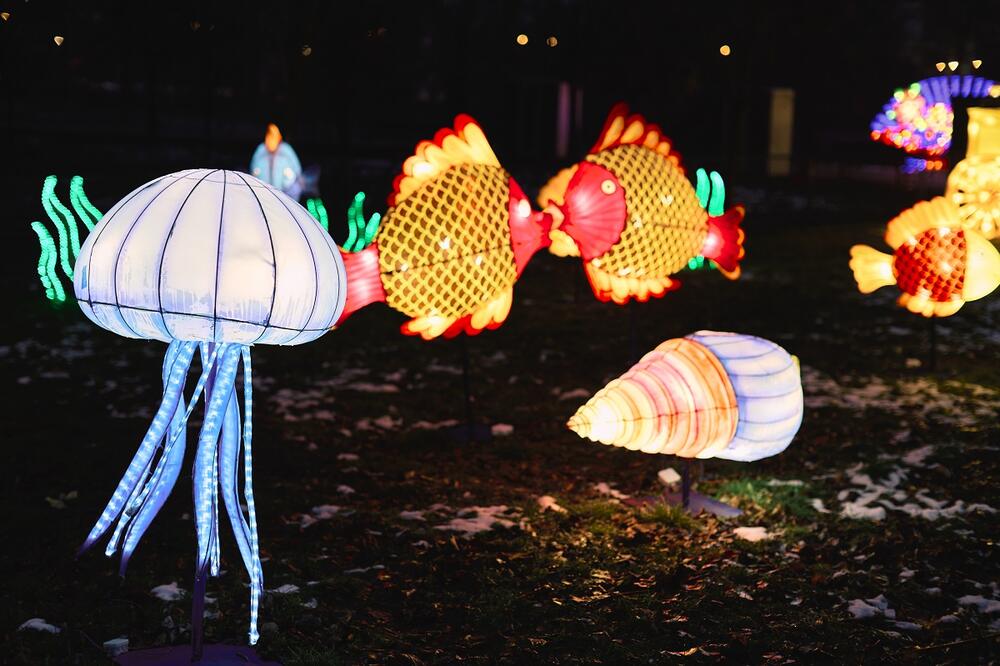 Kineski festival svetla