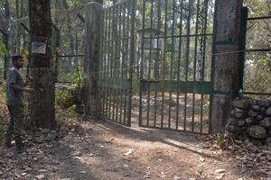 LAV RASTRGAO ČOVEKA U ZOO VRTU: Neviđen užas, turista preskočio ogradu i ušao u kavez, čuvari nisu imali vremena da reaguju
